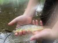 584AB7E8-DAE1-4EC2-9BC7-A7C48FBE6074.jpeg