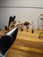 IMG_20220922_210735075.jpg