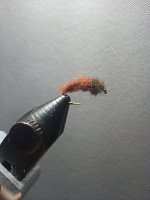 IMG_20221003_205340977.jpg