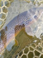 IMG_7128.jpeg