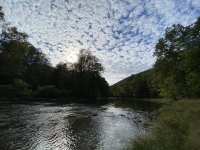 IMG_7116.jpeg