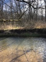 IMG_2302.jpeg