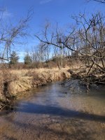 IMG_2304.jpeg