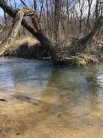 IMG_2305.jpeg