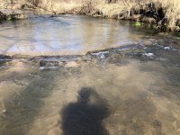 IMG_2306.jpeg
