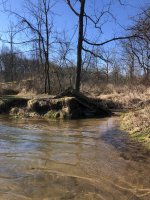 IMG_2307 2.jpeg