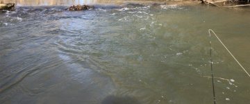 IMG_2308.jpeg