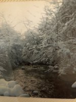 IMG_2359.jpeg