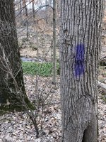 IMG_2395.jpeg
