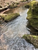 IMG_2391.jpeg