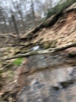 IMG_2390.jpeg