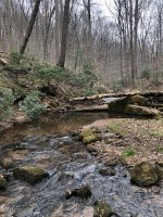 IMG_2388.jpeg