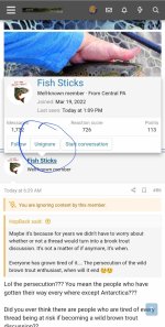 Screenshot_20230306_161356_Chrome.jpg