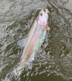 C584ED04-B879-4C33-B7FA-AE1DE0764DA6.jpeg