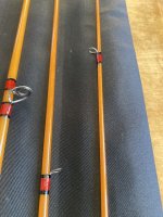 IMG_1054.jpeg