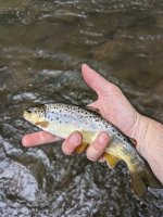 PXL_20230507_205944696.jpg