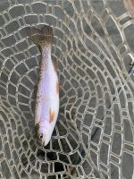 IMG_0957.jpeg