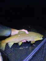 IMG_8582.jpeg