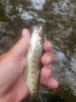20230829_122452.jpg