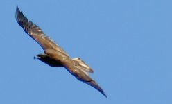 DSCF7259a.JPG