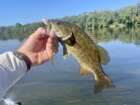 Smallie 1.jpg