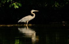 DSCF7274a.JPG