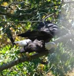 IMG_3072.jpeg