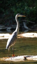 IMG_3073.jpeg