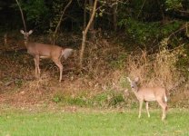 IMG_3078.jpeg