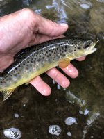 IMG_0222.JPEG