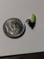 IMG_20240221_180238346.jpg