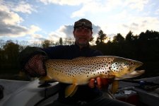 Delaware Brown 1.JPG
