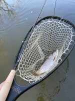 IMG_6874.jpeg
