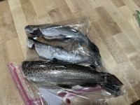 IMG_8867.jpeg