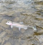 IMG_8997.jpeg