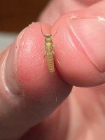 IMG_9176.jpeg