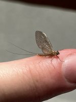 IMG_9189.jpeg
