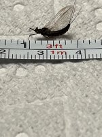 IMG_9205.jpeg
