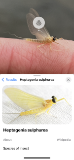 IMG_9311.png