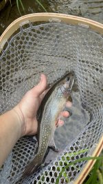 IMG_1538.jpeg