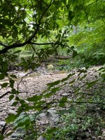 IMG_1537.jpeg