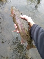 IMG_20210905_100512.jpg