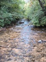 IMG_20240907_121440769.jpg