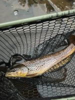 IMG_1515.jpeg