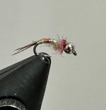 IMG_1220.jpeg
