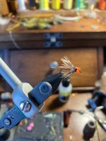 IMG_3587.jpeg