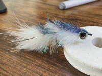 IMG_4309.jpeg