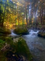 IMG_3435.jpeg