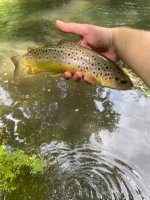 IMG_7709.jpeg IMG_7709.jpeg
