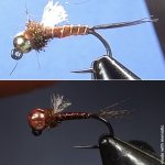 daily_fly.jpg
